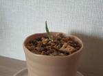 image316.jpg