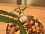 20080517 140.jpg