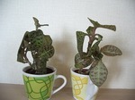 20080521 018.jpg