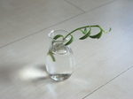 image115.jpg